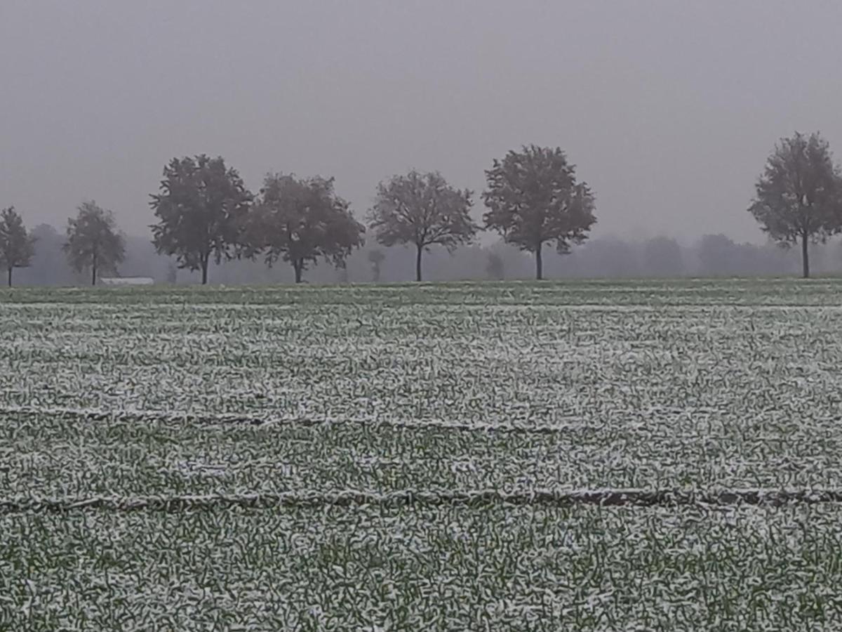 Landidylle Mit Garten, Whirlpool Und Klima Reken Luaran gambar